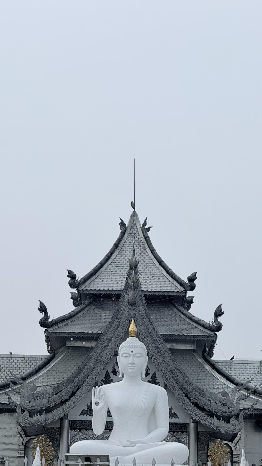 Trip photo 14