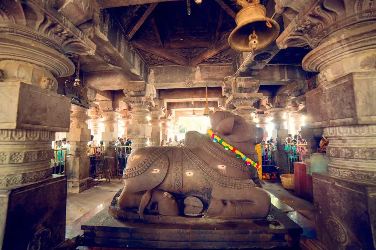 Trip photo 6